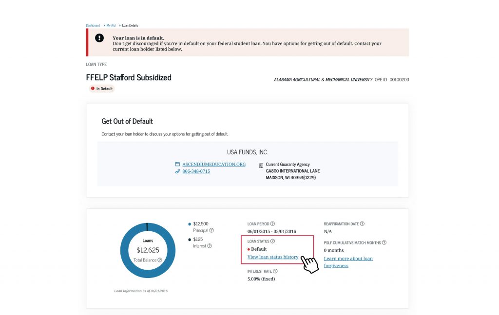The “Loan Details” page shows a breakdown of each student loan and its specific details, including the loan period, loan status, the interest accrued, and principal balance. If your loan is in default, a warning banner at the top of the page will appear. This page will also show any available repayment and disbursement details.