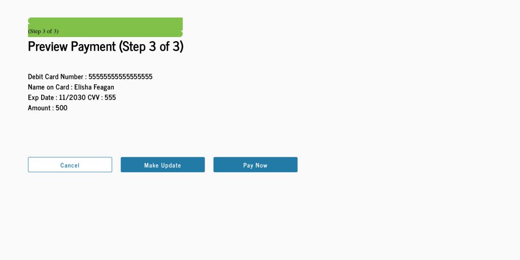 After confirming the payment amount and card information look correct, you can choose “Pay Now” to complete the payment. If you need to make an update, select “Make Update.” To cancel the payment, select “Cancel.”